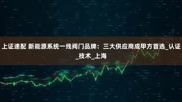 上证速配 新能源系统一线阀门品牌：三大供应商成甲方首选_认证_技术_上海